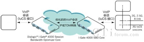 3G �ƄӾW�j luCS VoIP ��Ԓ��(y��u)��